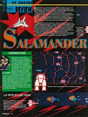 Salamander - 01