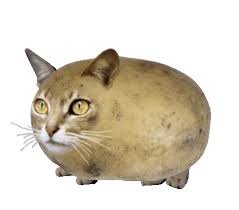 potato2.jpeg.b94a259f7a7712f9cb19c188aee5a910.jpeg