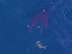 banjo-kazooie-stay-at-home-n64-dead-eel.jpg