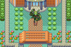 pokemon-emerald-multiplayer-5.png