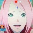 DarkSakura