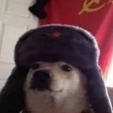 Flauf