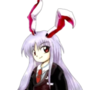 insanerabbit