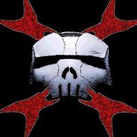 TheMetalGamer