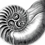 Nautyl