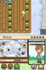 harvest-moon-the-tale-of-two-towns-nintendo-ds-1307625679-003.jpg