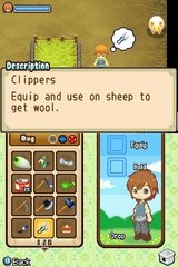 harvest-moon-the-tale-of-two-towns-nintendo-ds-1307625679-004.jpg