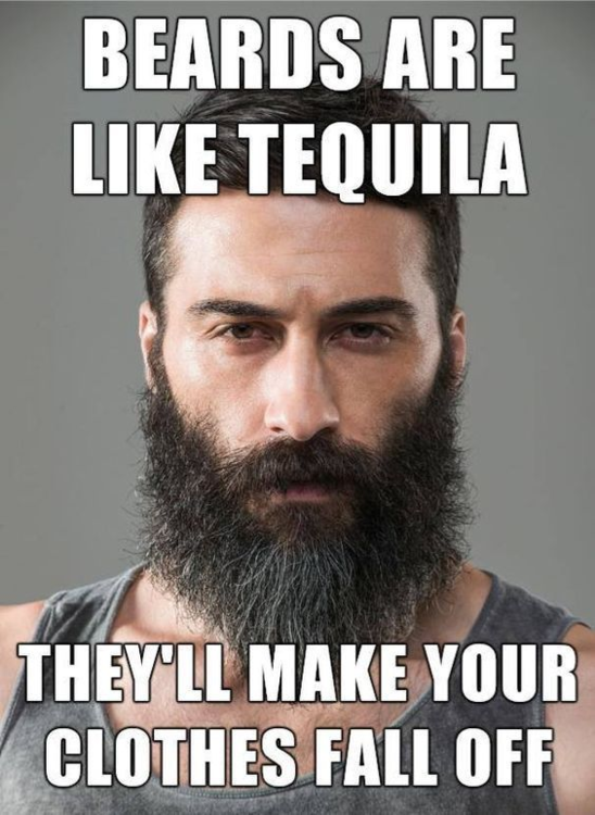 image.thumb.png.3c51e1641ecfca0a5bf764f15cf32f3d.png