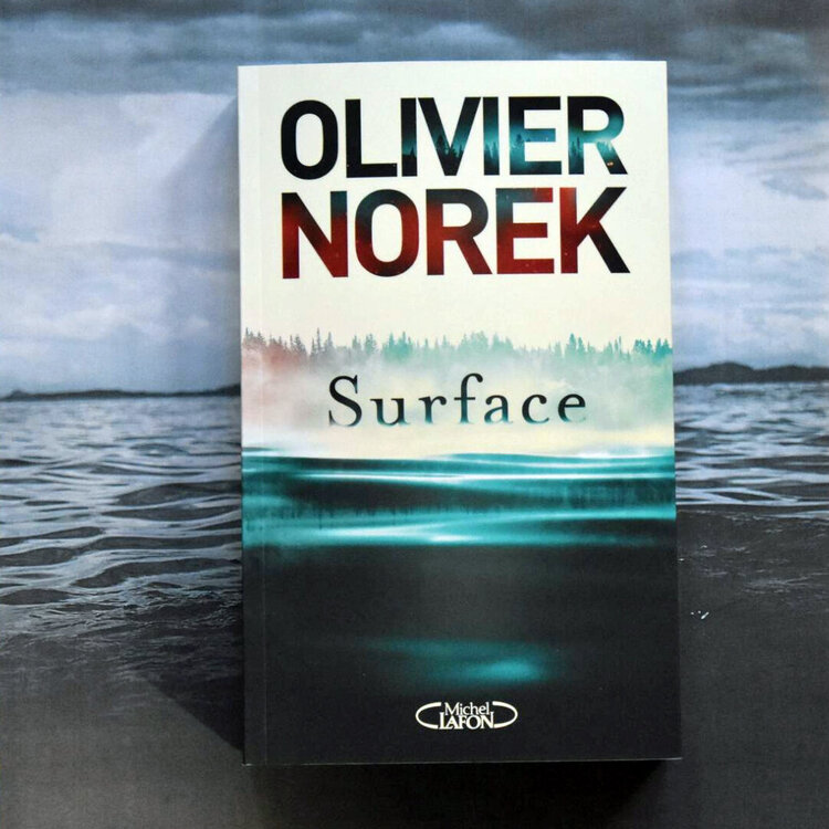 olivier-norek-surface.thumb.jpg.0b407a82aa6ed4865efd7aca45d3cd42.jpg