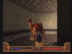 10968605-powerslave-playstation-a-camel.jpg