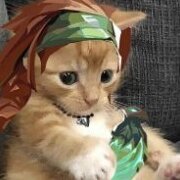 MrPolygame