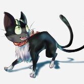 Kuroo12