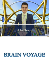 Brain Voyage gameplay image 7