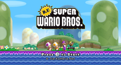 DU Super Wario Bros gameplay image 1.png