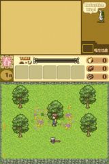 Hakoniwa Seikatsu - Hitsuji Mura DS gameplay image 15.png