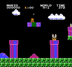 Mario W-256 gameplay image 10.png