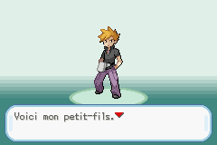 Pokémon Vert Feuille Version Merison gameplay image 14.png