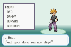 Pokémon Vert Feuille Version Merison gameplay image 15.png