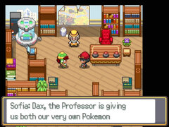 Pokémon_Sage_08.jpg