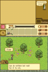 Shepherd's Crossing 2 DS gameplay image 18.png