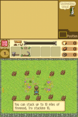 Shepherd's Crossing 2 DS gameplay image 24.png