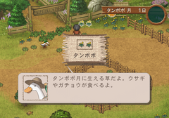 Youkoso Hitsuji-Mura gameplay image 10.png