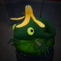 zoruaaa