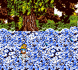 Alice in Wonderland (GBC) (USA) gameplay image 15.png