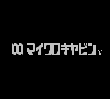 Magical Chase GB - Minarai Mahoutsukai Kenja no Tani e (Japan) (GBC) gameplay image 1.png