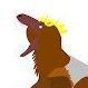 RaptorGirlOfficial
