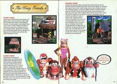 Donkey Kong Country Manual_page-0013