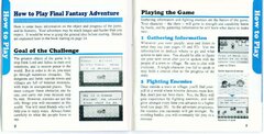 Final Fantasy Adventure (USA)_page-0005