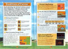 Harvest Moon (USA)_page-0010