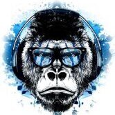 MonkeyZ974