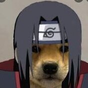 DjinnWolf