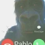 yaelkirby64