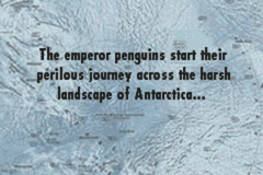 March of the Penguins (GBA) 008