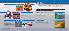 Mario Kart DS_page-0018.jpg