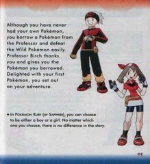 Pokemon - Sapphire Version (USA, Europe) (Rev 2)_page-0004.jpg