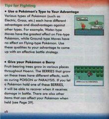 Pokemon - Sapphire Version (USA, Europe) (Rev 2)_page-0027.jpg