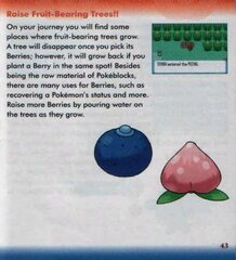Pokemon - Sapphire Version (USA, Europe) (Rev 2)_page-0042.jpg