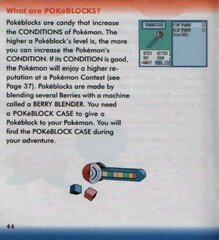 Pokemon - Sapphire Version (USA, Europe) (Rev 2)_page-0043.jpg
