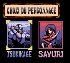 Return of The Ninja (French)_007.png