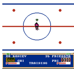 USA Ice Hockey in FC (Japan)_007.png