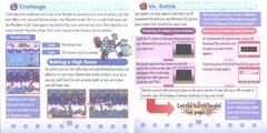 YoshiTouchGousa_page-0010.jpg