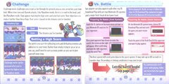 YoshiTouchGousa_page-0010.jpg