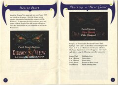 Dragon View (USA) manual-05.jpg