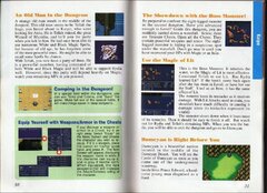 Final Fantasy II (USA) (Rev 1) manual-17.jpg