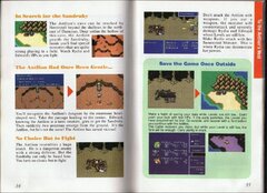 Final Fantasy II (USA) (Rev 1) manual-19.jpg