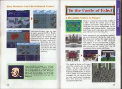 Final Fantasy II (USA) (Rev 1) manual-21.jpg